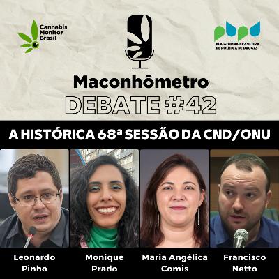 Debate #42 | A histórica 68ª sessão da Comissão de Drogas Narcóticas da ONU Debate #42 | A histórica 68ª sessão da Comissão de Drogas Narcóticas da ONU