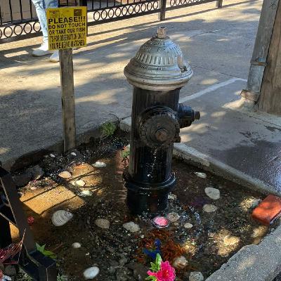 01. Estrenamos podcast. Citi Bike Hustlers y Fire Hydrant Fish Pond | T01E01