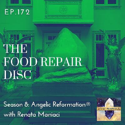 The Food Repair Disc The Food Repair Disc