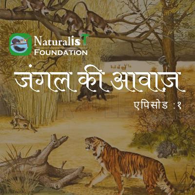 Jungle Ki Aawaz, Episode 23 May, 2020
