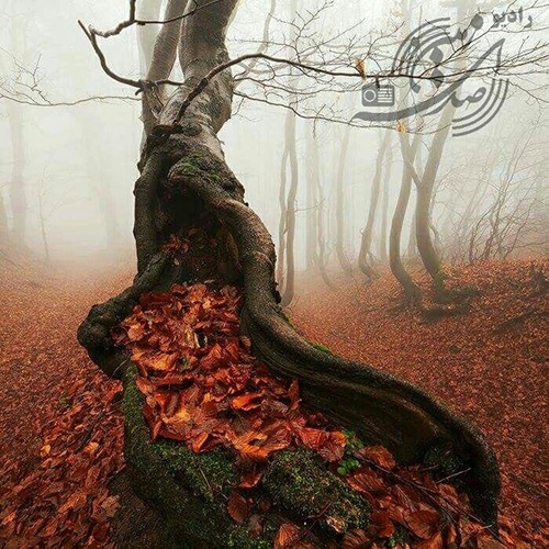 Podcast 9 - عاشقانه با مرگ episode artwork