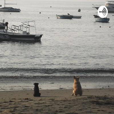 "La gran catástrofe amarilla", el nuevo libro de J.J. Benítez.