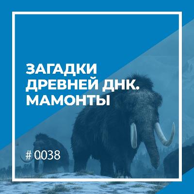 Загадки древней ДНК. Мамонты Загадки древней ДНК. Мамонты