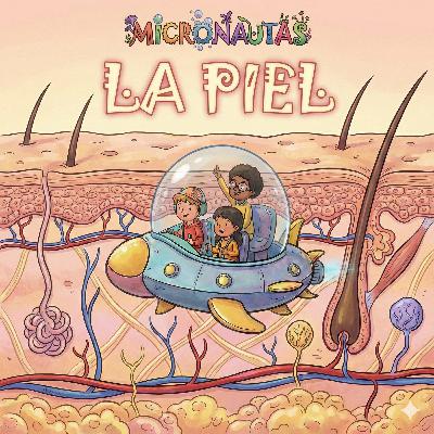 La piel: el escudo impermeable