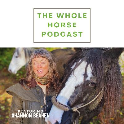 WH148 | Walking the rocky road of recovery with Shannon Beahen WH148 | Walking the rocky road of recovery with Shannon Beahen