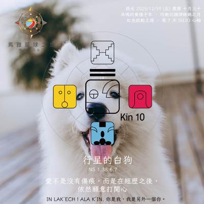 馬雅星球之旅｜EP471－【新創260】-KIN10行星的白狗-愛不是沒有傷痕， 而是在經歷之後， 依然願意打開心。