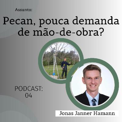 04 - Pecan, pouca demanda de mão-de-obra?