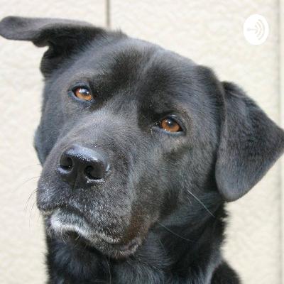 【東京西】動物行動学Ⅰ第１回「授業の概要と導入」