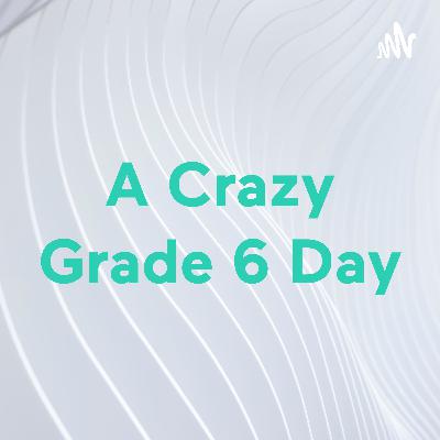 A Crazy Grade 6 Day