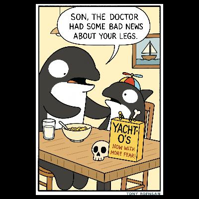 Fringey Minis - whales and dolphins aren't coming back