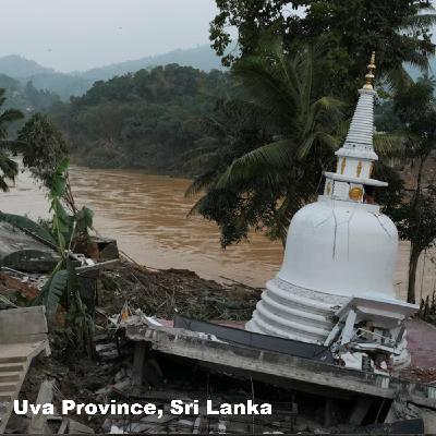 Tea News Recap | Sri Lanka Survives Catastrophic Cyclone | Assam Pivots to Innovation | AVPA Awards 161 Medals