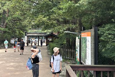 Free entry, well-maintained trails turn foreign visitors on to 'K-hiking' Free entry, well-maintained trails turn foreign visitors on to 'K-hiking'