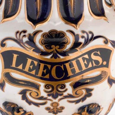 Episode 45: Our shared history with leeches