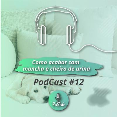 # 12 Como tirar mancha e cheiro de urina dos estofados?