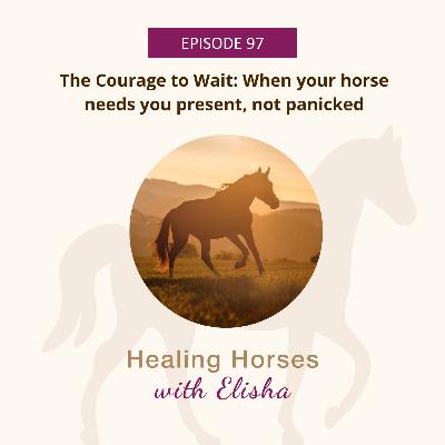 97: The Courage to Wait: When Your Horse Needs You Present, Not Panicked