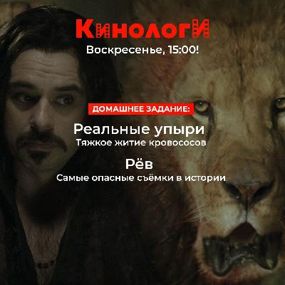 Кинологи 20251019. Рёв реальных упырей