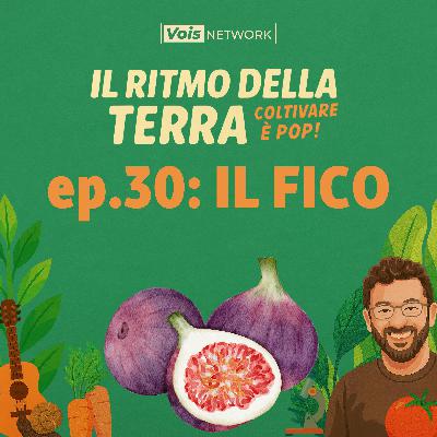 ep 30 - il fico