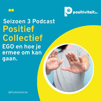 S3 - A8 De impact van EGO