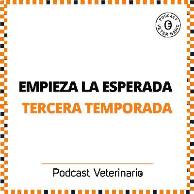 A la tercera va la vencida