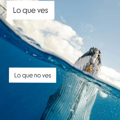 Alma despiértame o no lo contamos