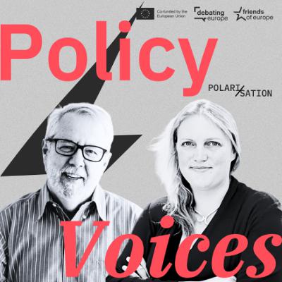 Policy Voices | What divides us? Policy Voices | What divides us?