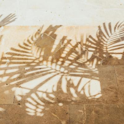 Vol.045 对话环球旅行者五哥：这十年影响我们的人和事