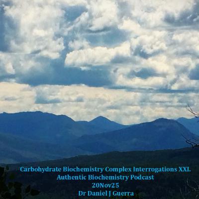 Carbohydrate Biochemistry Complex Interrogations XXI. Authentic Biochemistry Podcast 20 Nov25. Dr Daniel J Guerra