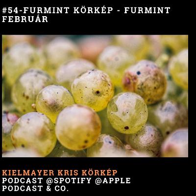 Beszélgetés a Furmintról – Furmint Körkép a Furmint Februárról