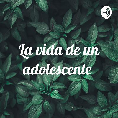 La vida de un adolescente  (Trailer)