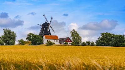 “Swedes are like Dubs: they have notions!”