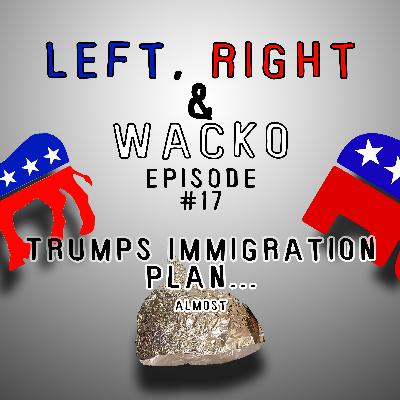 Episode #17 Trumps Immigration Plan... Almost