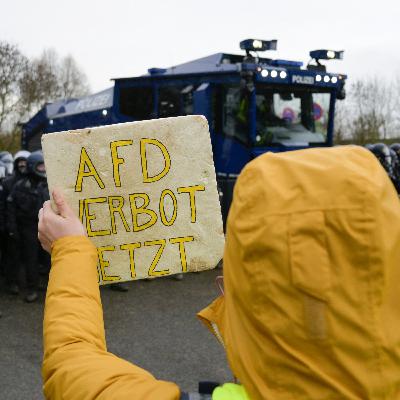 Should Germany ban its far-right party?