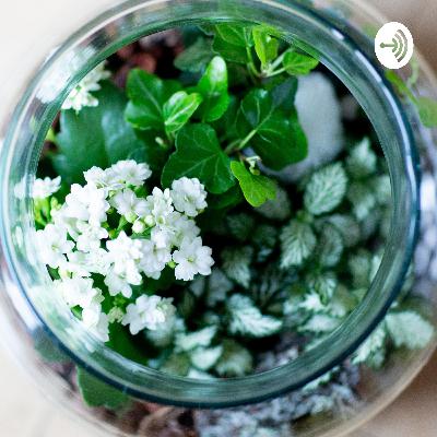 Diese Meditation ist zum Stressabbau und die eigene Mitte finden, an alle Kitabetreuer gerichtet.