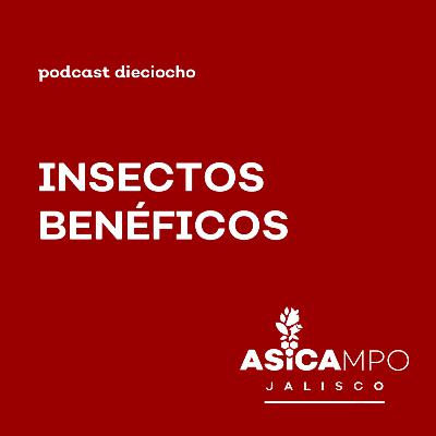18 | Insectos benéficos