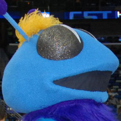 5 - The Hornets are Buggin