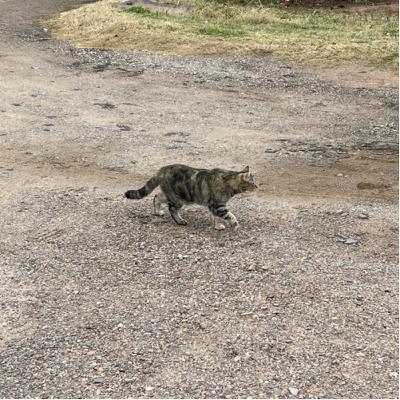 Moving Out Life On The Streets Salt Lake City To Phoenix & Back & Back & Back & Back Bus Plus Plane Moving Out Life On The Streets Salt Lake City To Phoenix & Back & Back & Back & Back Bus Plus Plane