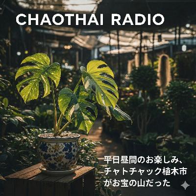 #46 平日昼間のお楽しみ チャトゥチャック植木市がお宝の山だった #46 平日昼間のお楽しみ チャトゥチャック植木市がお宝の山だった