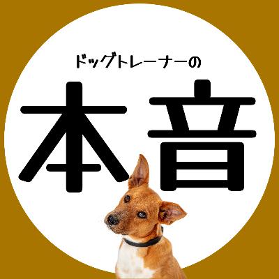 41 優先度の低いフィットネストレーニング