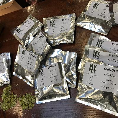 Episode 241: Hops in NY State and brewing in India!