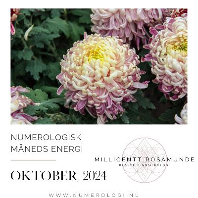2024 | Numerologisk energi i oktober måned i år 2024 2024 | Numerologisk energi i oktober måned i år 2024