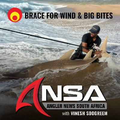Brace for Wind & Big Bites - KZN REPORT (12 NOVEMBER '25) Brace for Wind & Big Bites - KZN REPORT (12 NOVEMBER '25)