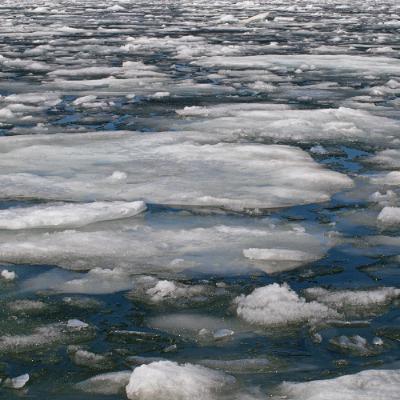 February 28, 2026: A Dream of Spring, a Lack of Stability (on Ice and in Parliament), and A Somber Anniversary