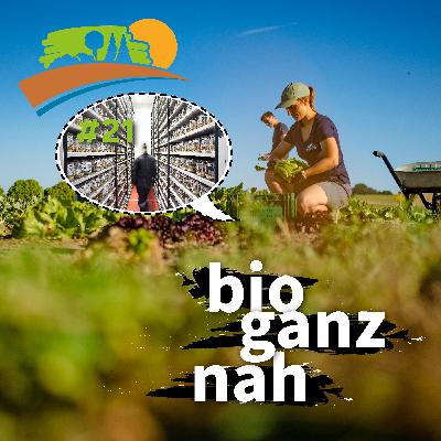 Phänomenale Feldforschung