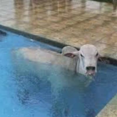 Chuva, chorume e medo Chuva, chorume e medo