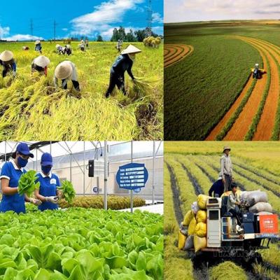 Dòng chảy kinh tế - Tạo động lực mới cho phát triển công nghiệp nông thôn