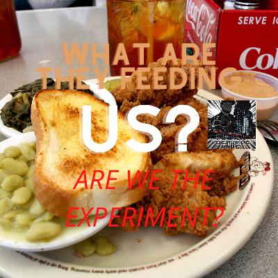 What Are They Feeding Us, Are We The Experiment?