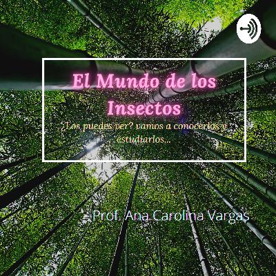 Animales artrópodos, Insectos, grupo de las mariposas