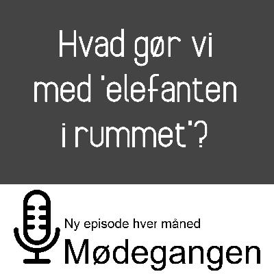 33. Hvad gør vi med ´elefanten i rummet´?