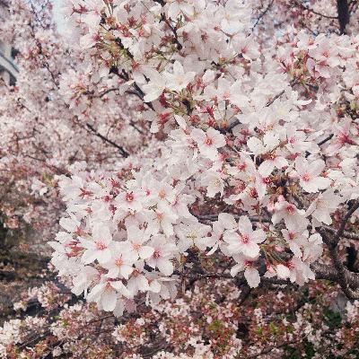 東中野の近況③（ヒガシナカノノナカノヒト vol.17）