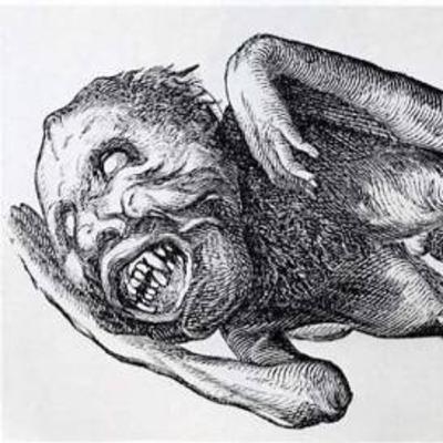 Momia de sirena está siendo estudiada por científicos en Japón. Momia de sirena está siendo estudiada por científicos en Japón.